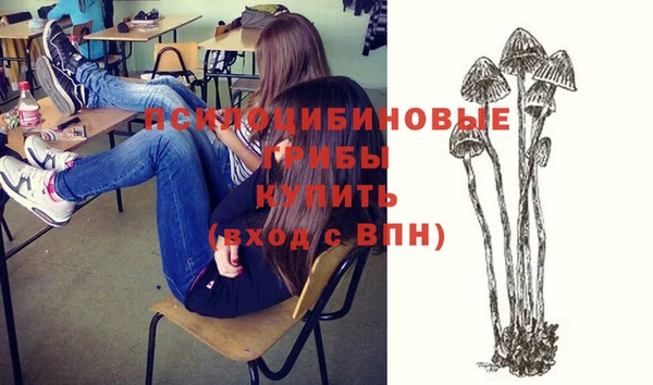 стафф Баксан